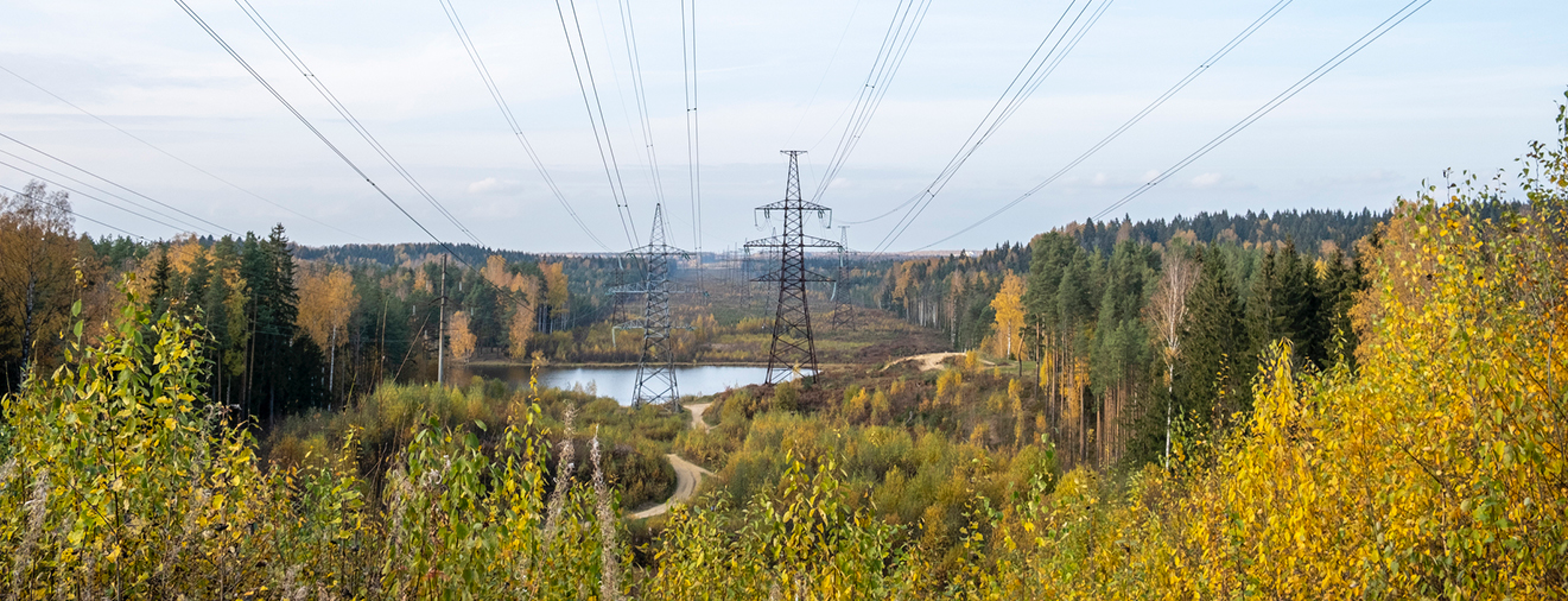 Integrated Vegetation Management Townsend Tree Service