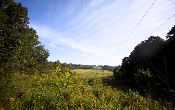 High voltage powerlines spanning a wooded hill on a clear sunny day