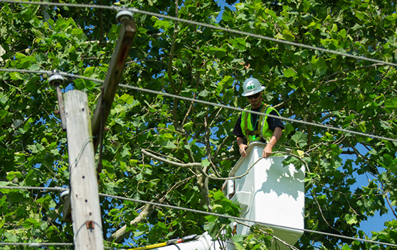Townsend employee in a basket lift working on power lines.